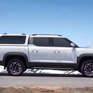 Carryboy Canopies for BYD Shark